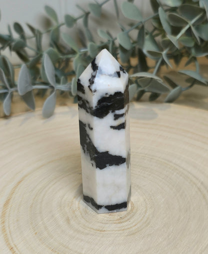 Pointe en Jaspe zébré