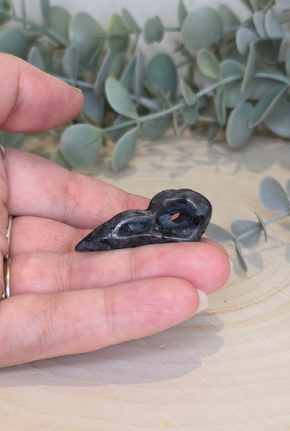 Crâne de corbeau en Larvikite