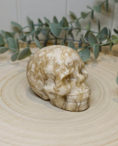 Crâne Agate Fleur ambrée