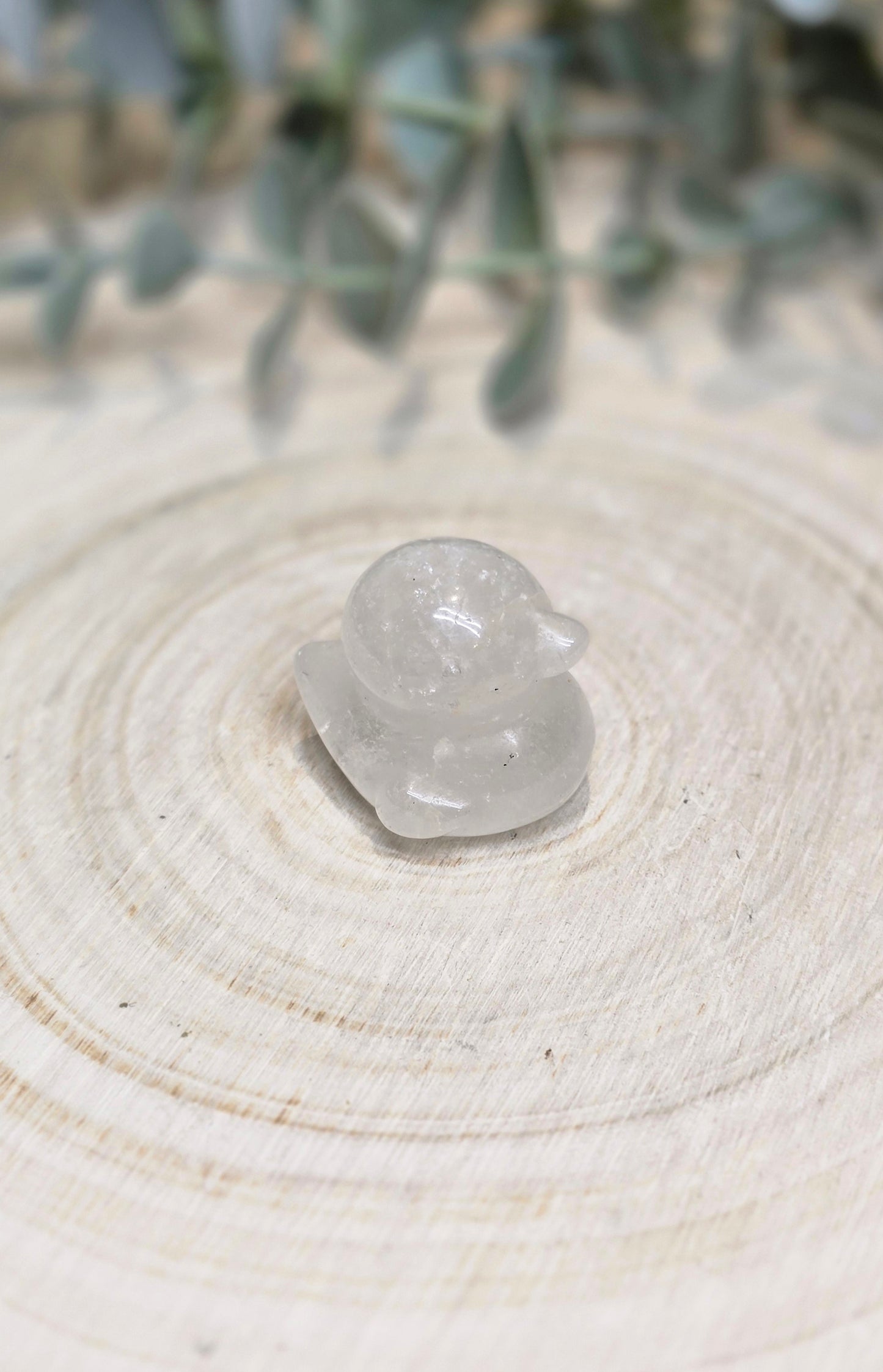 Canard Quartz clair