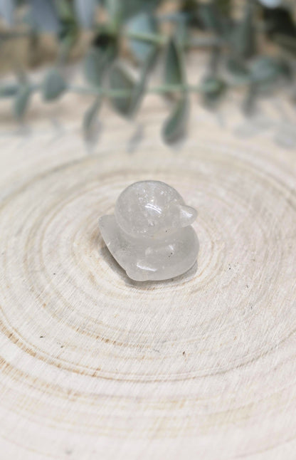 Canard Quartz clair