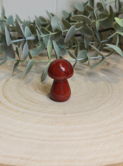 Champignon Jaspe rouge