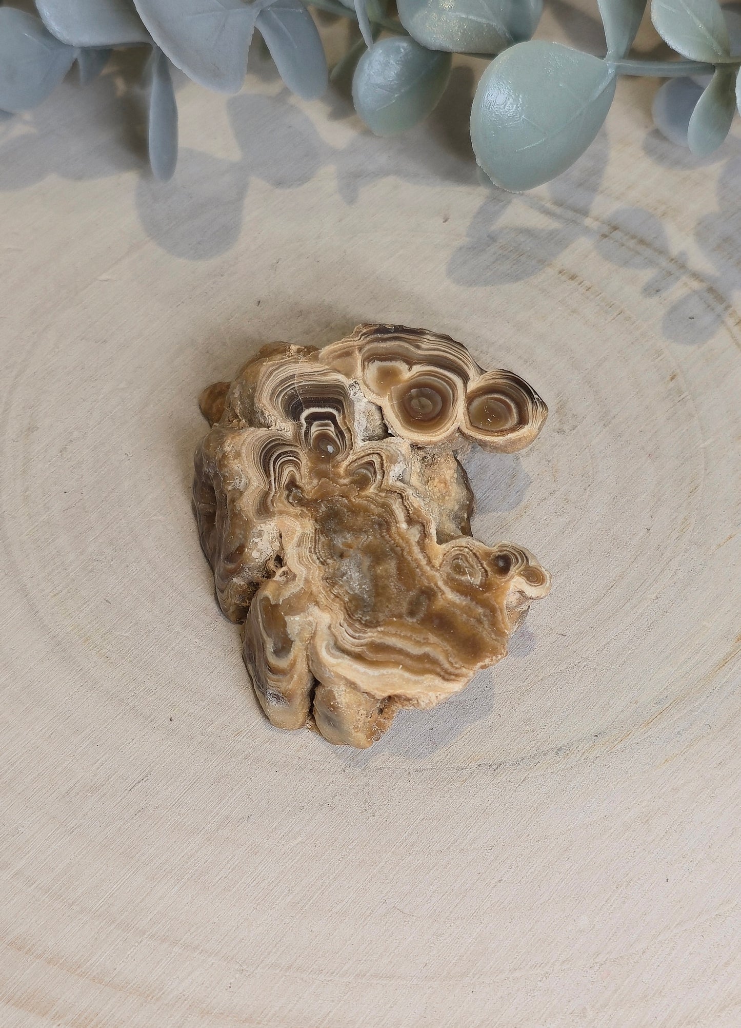 Tranche de Stalactite Aragonite