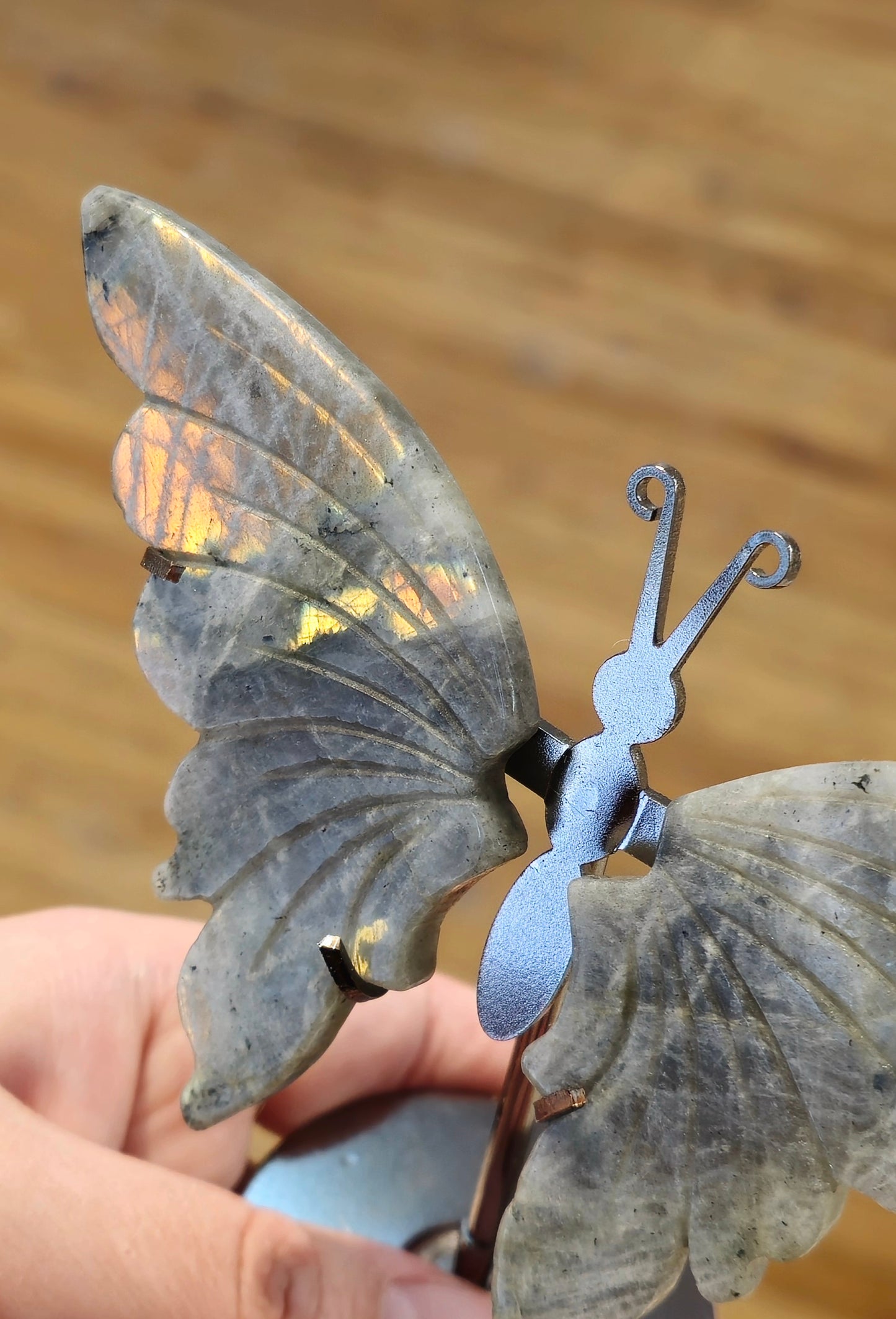 Papillon Labradorite