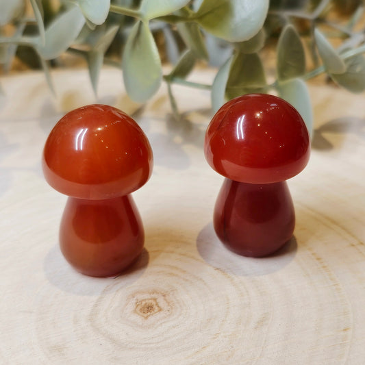 Champignon en Cornaline
