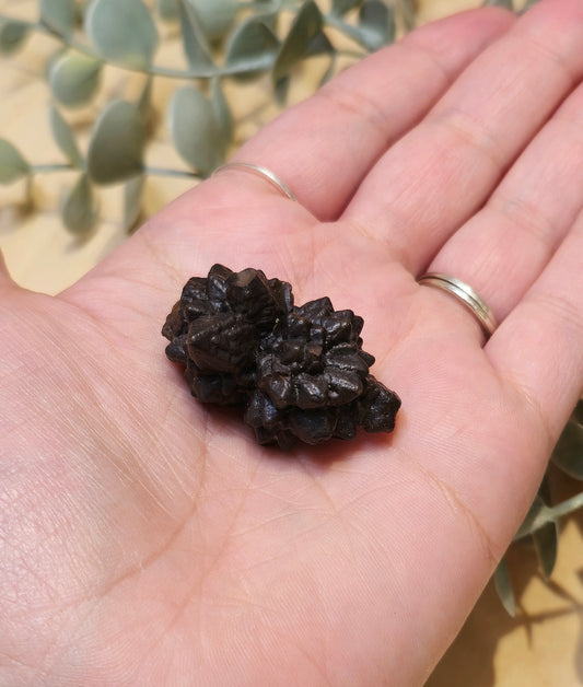 Pierre de Prophétie