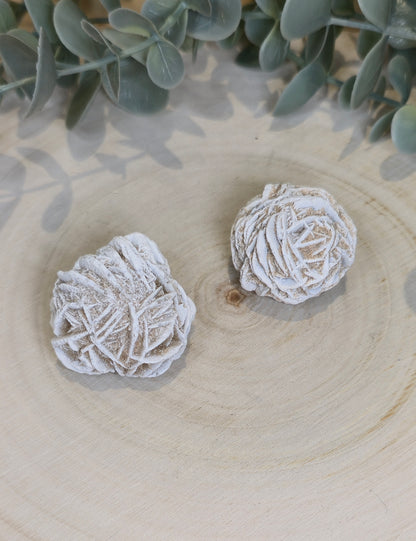 Rose des sables du Mexique