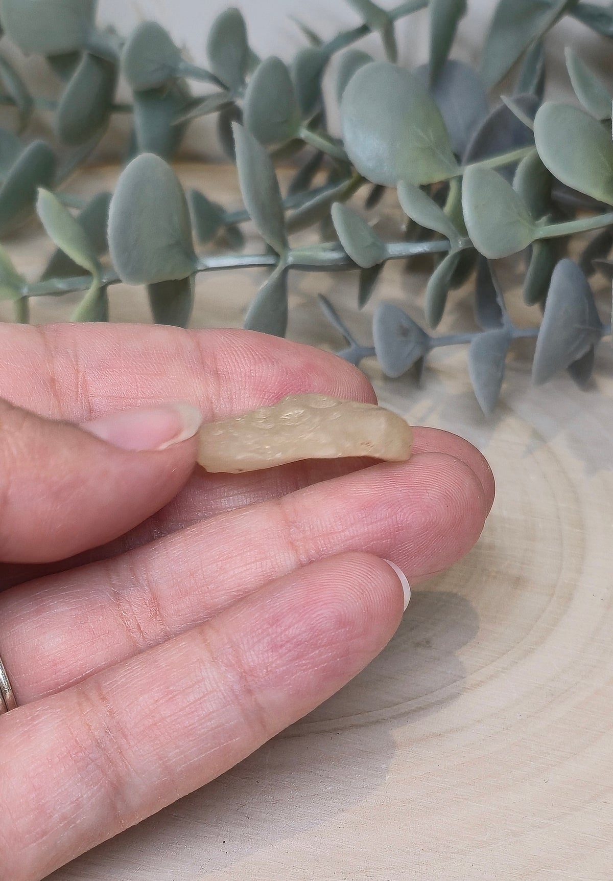 Verre de Libye du Désert du Sahara (Égypte)