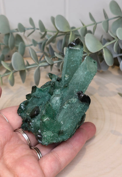 Quartz Chromium vert brute
