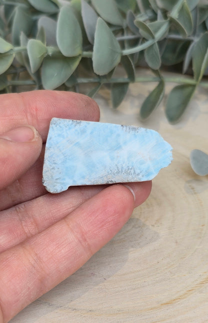 Larimar brute