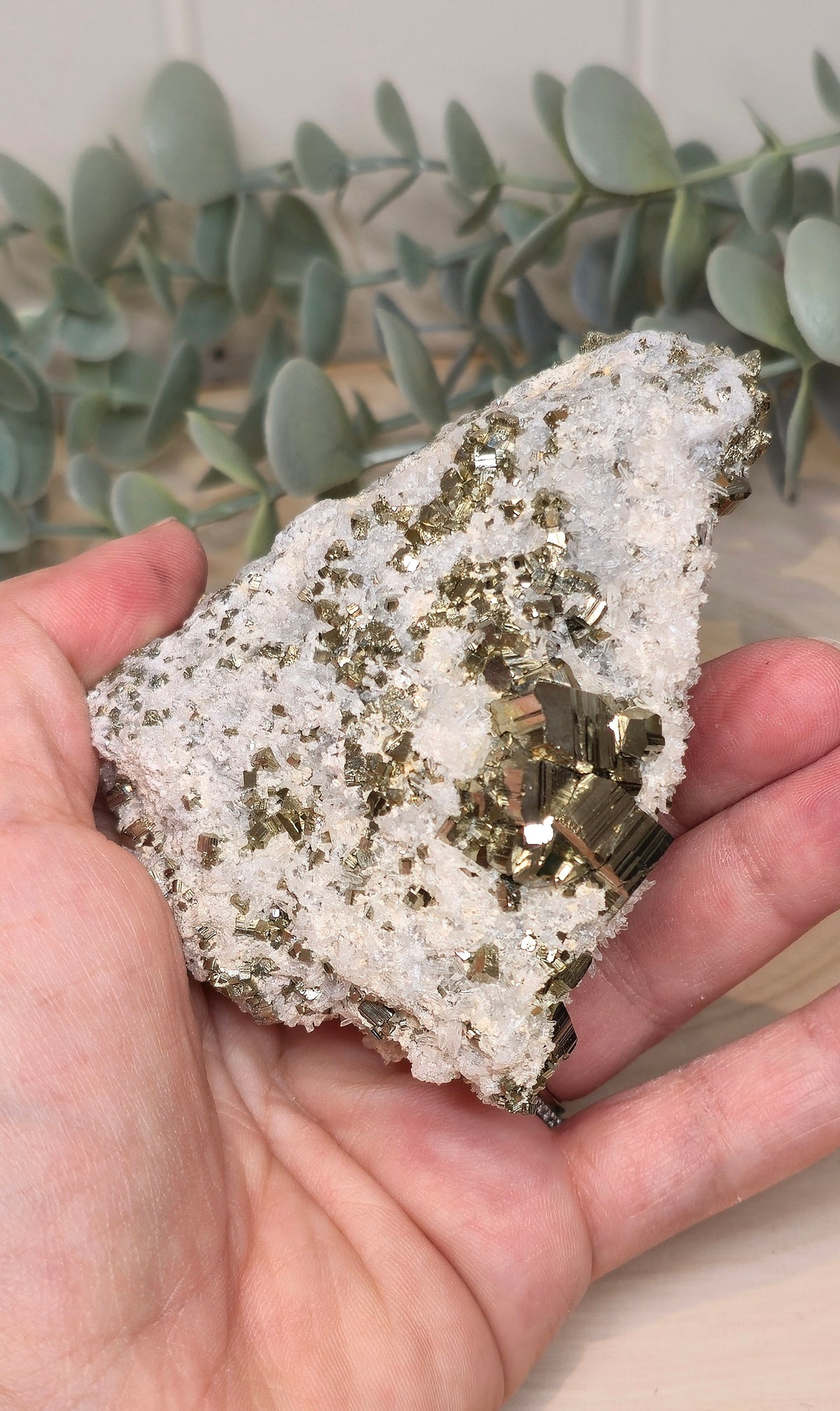 Pyrite dans Quartz brute