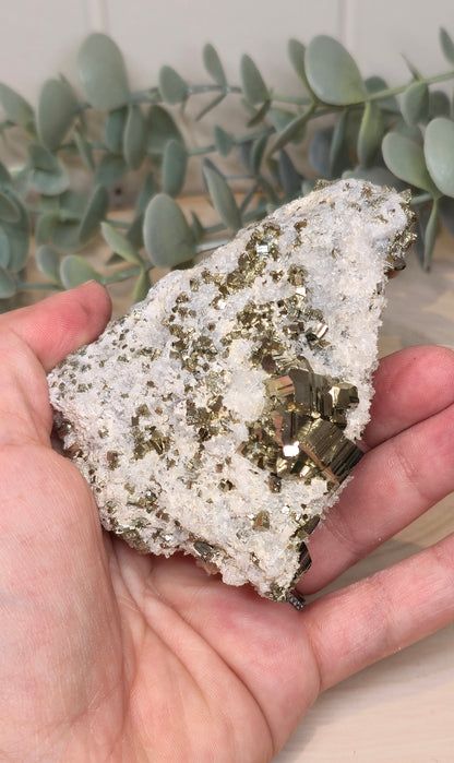 Pyrite dans Quartz brute