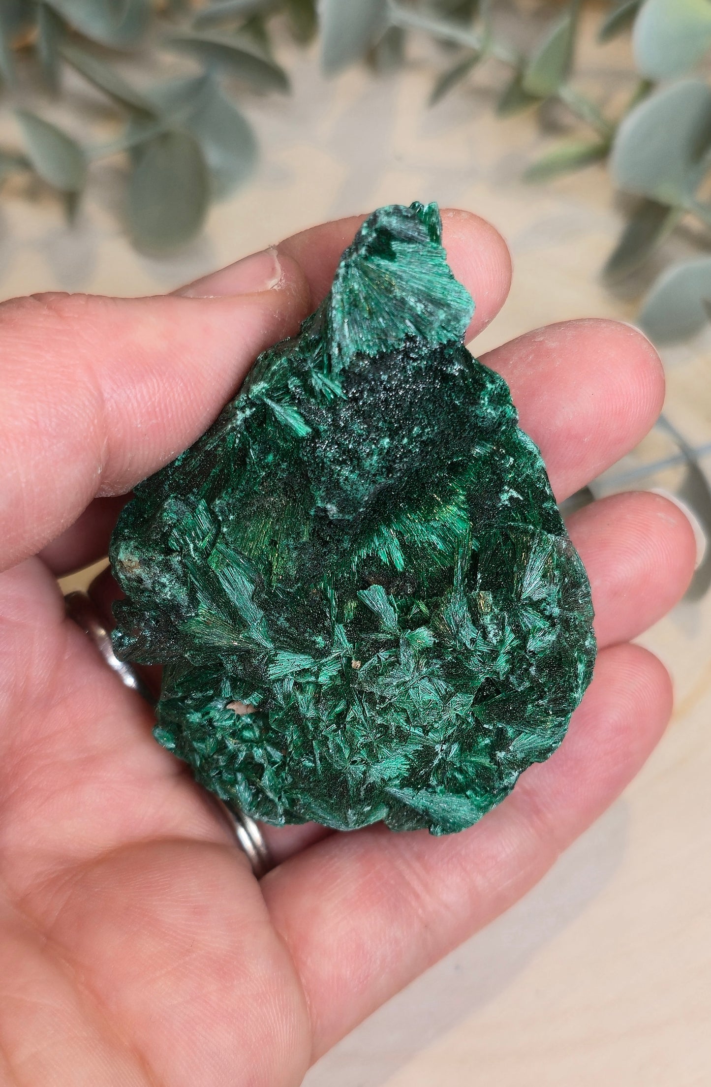 Malachite velour brute de l'Afrique