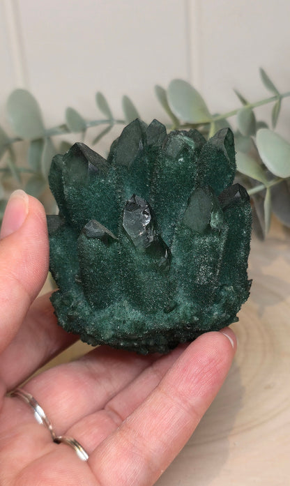 Quartz Chromium vert brute