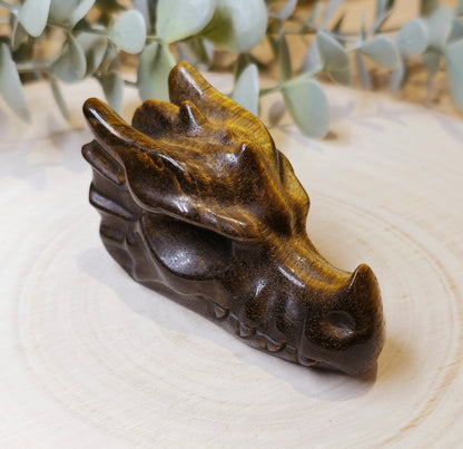 Dragon Oeil de tigre