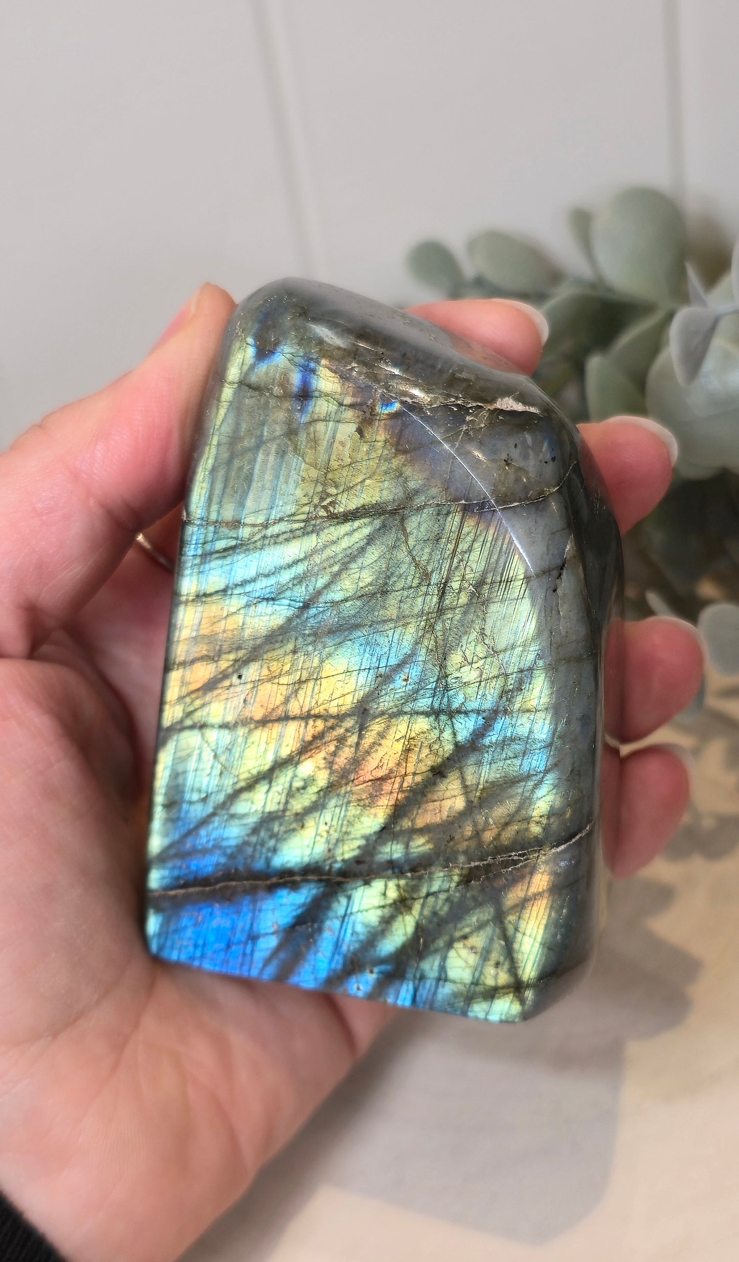 Freeform Labradorite