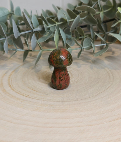 Champignon Unakite