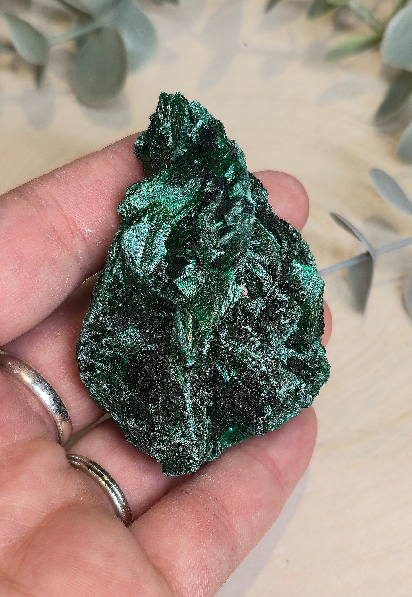 Malachite velour brute de l'Afrique