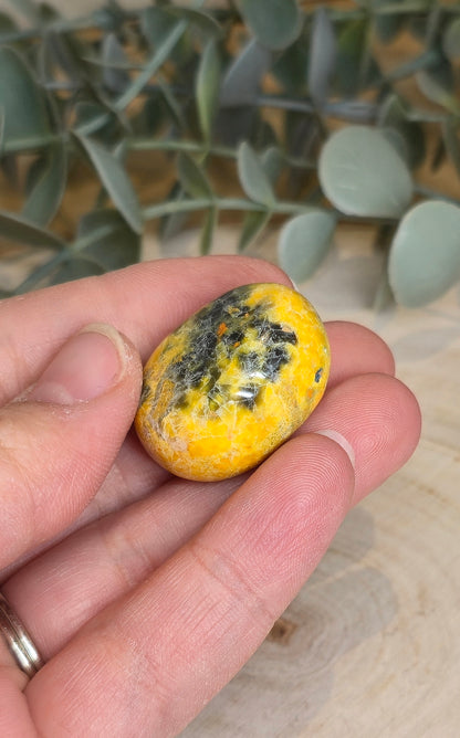 Jaspe Bumblebee barattée