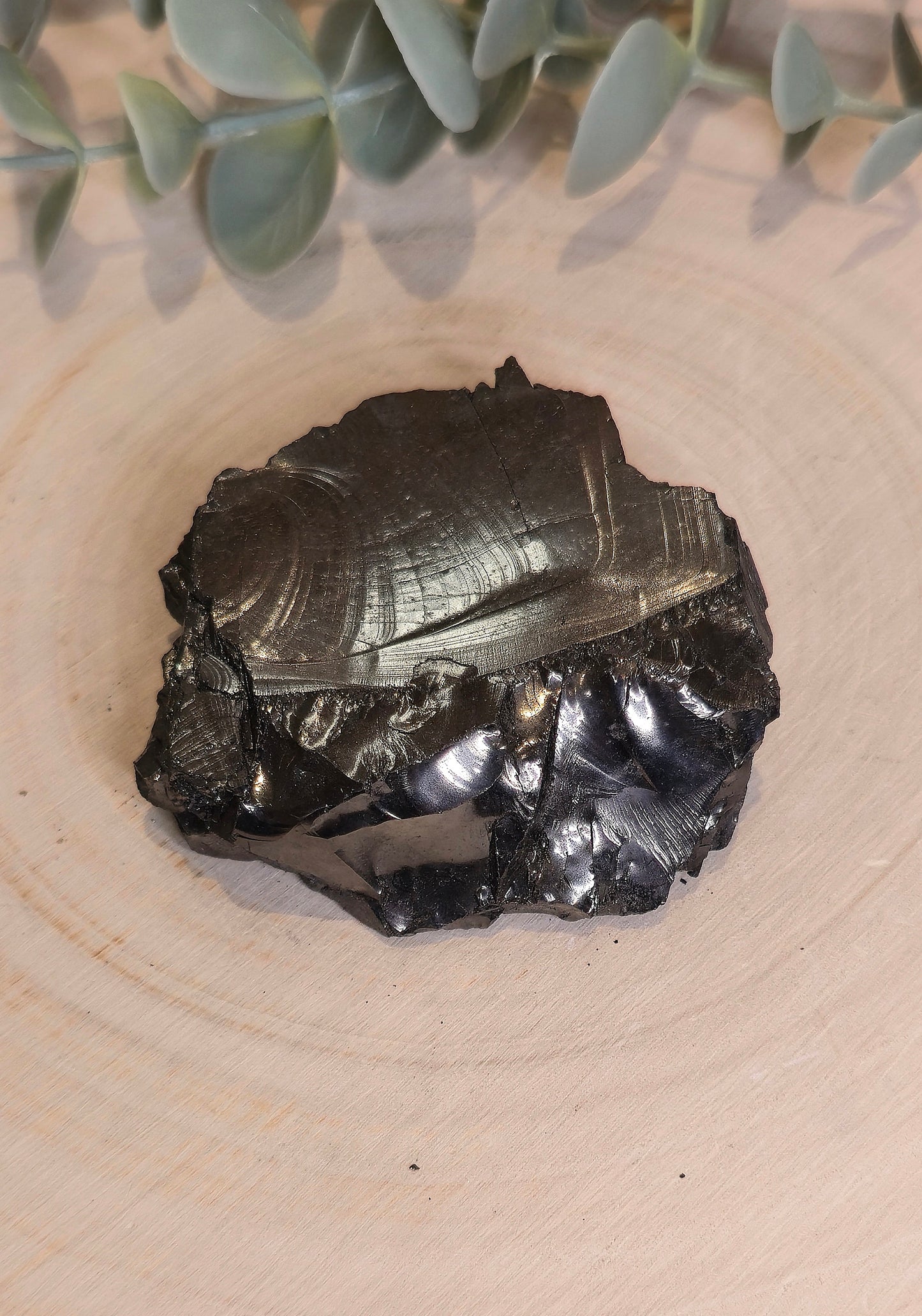 Shungite Élite brute de la Russie