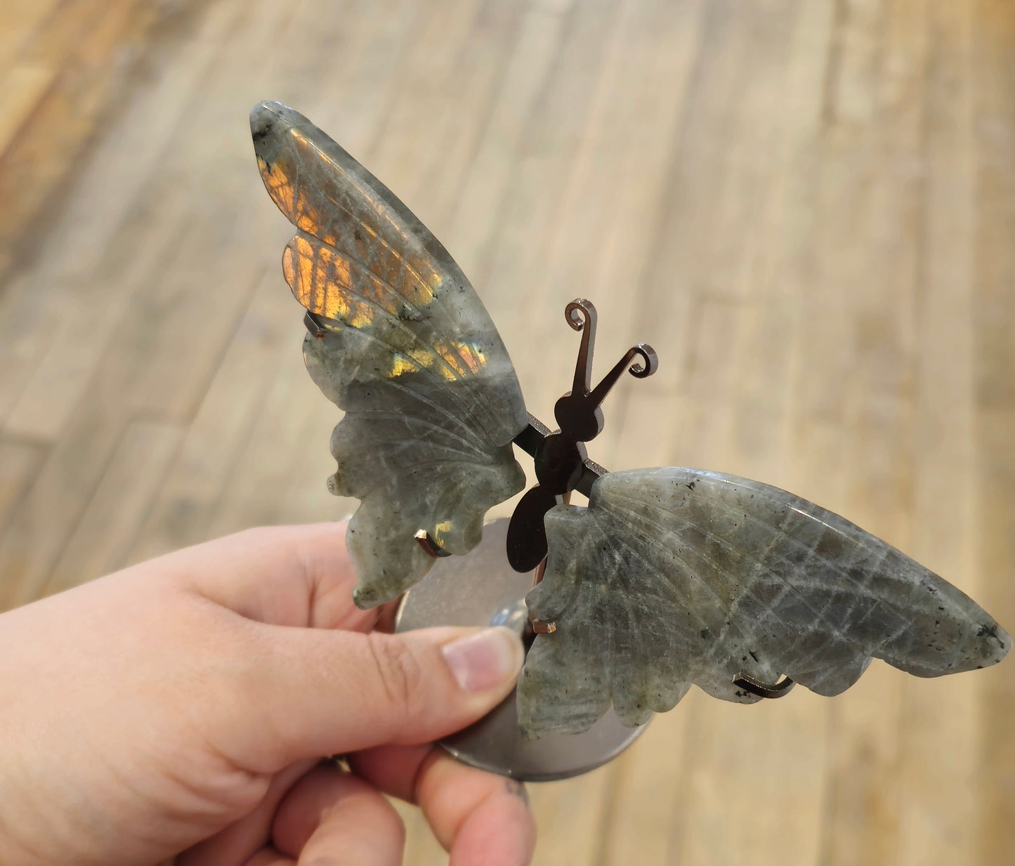 Papillon Labradorite