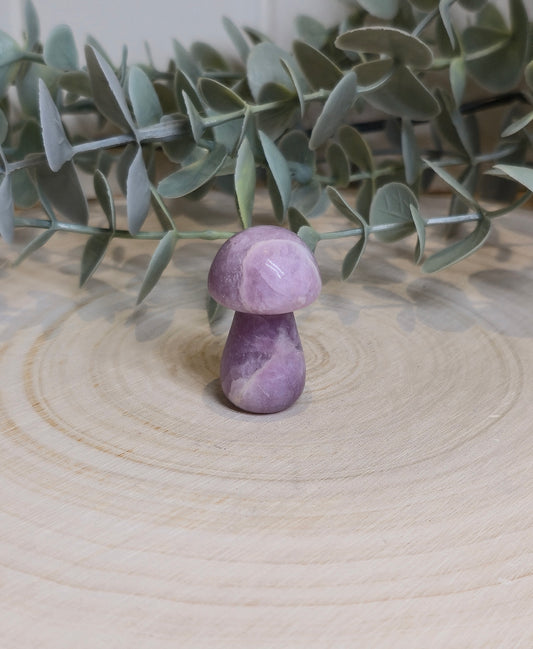 Champignon Lépidolite