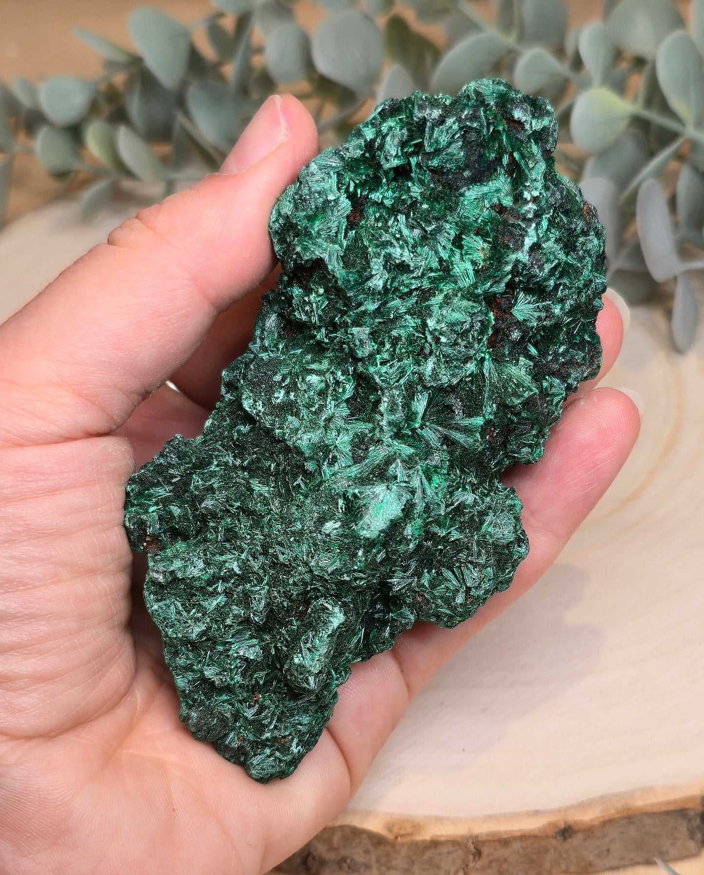 Malachite velour brute de l'Afrique
