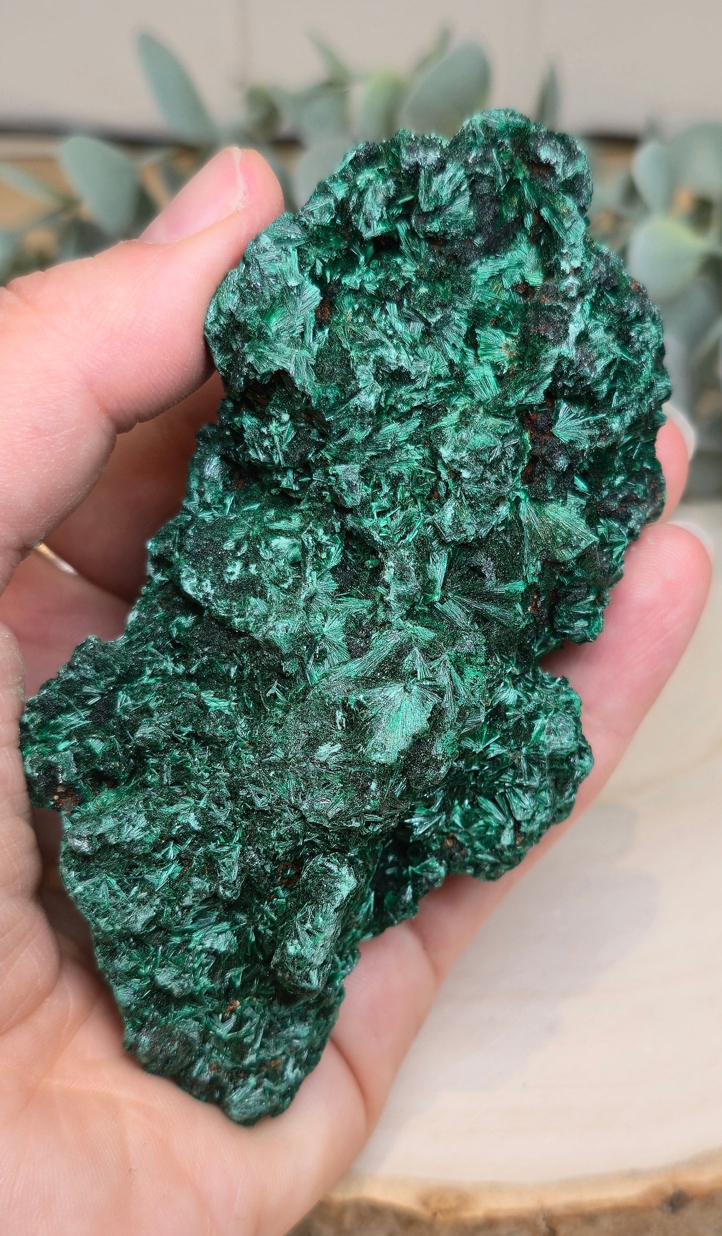 Malachite velour brute de l'Afrique