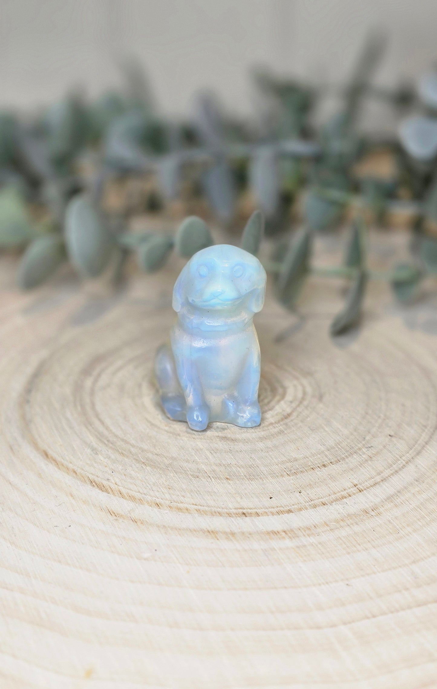 Chien en Opalite