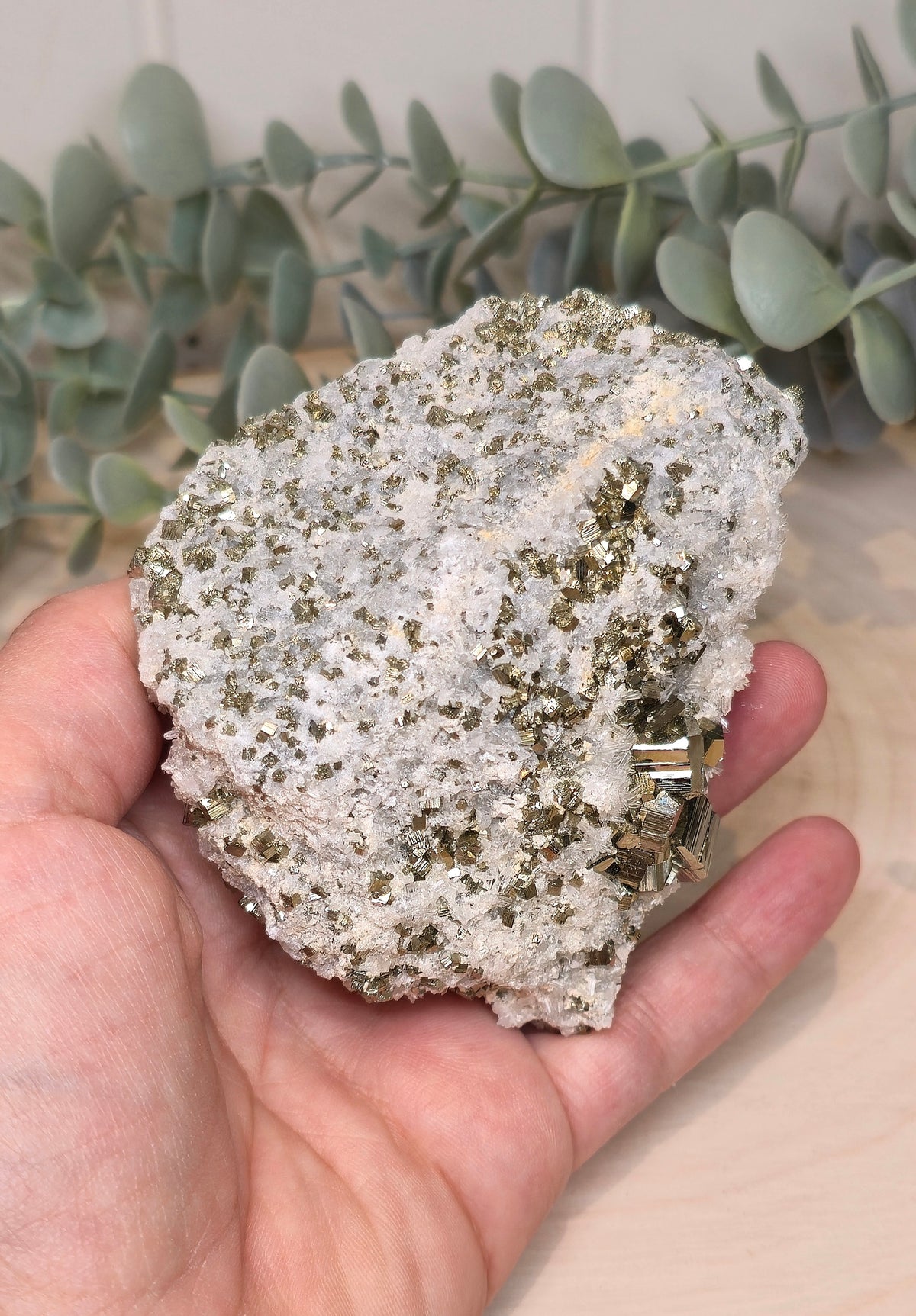 Pyrite dans Quartz brute