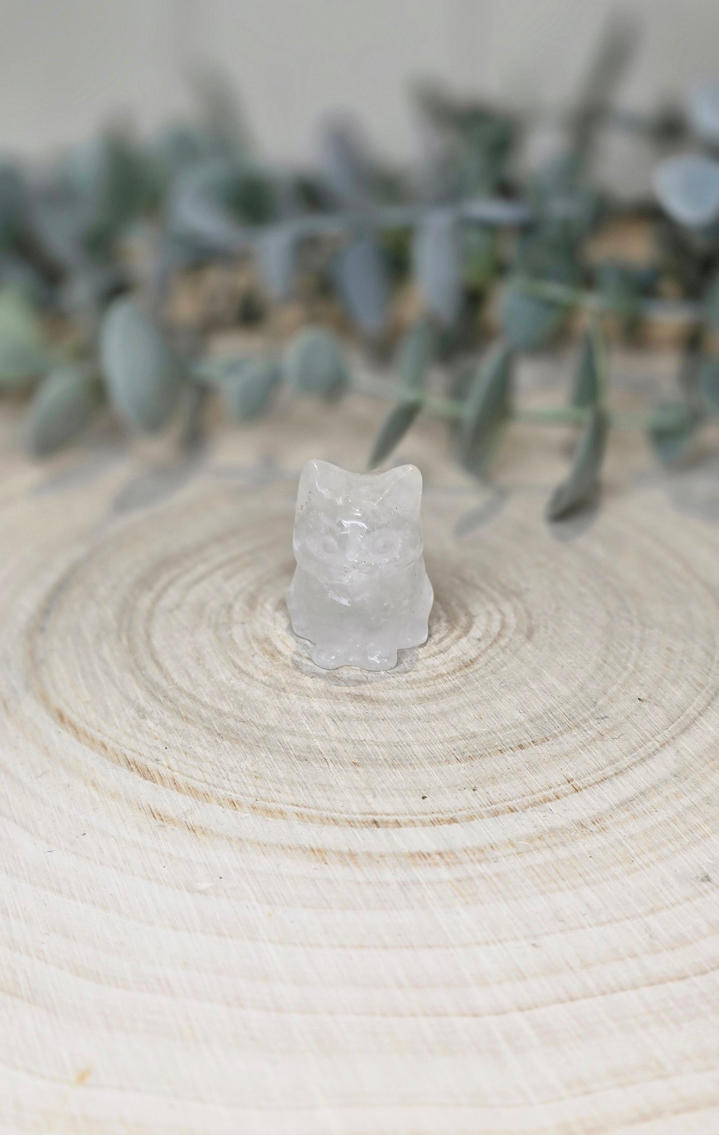 Chat en Quartz clair