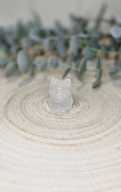Chat en Quartz clair