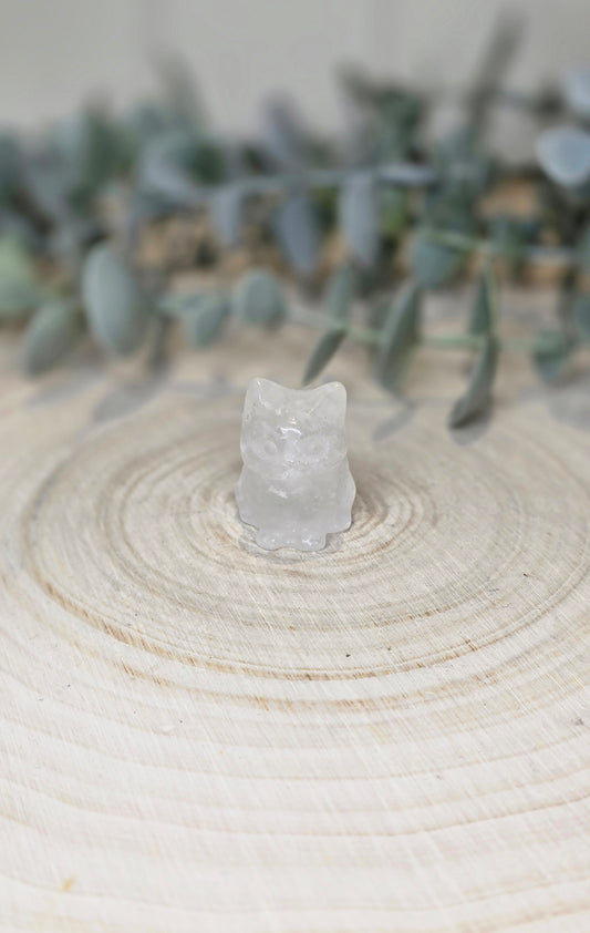 Chat en Quartz clair