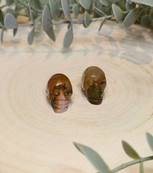 Mini Crâne en Sardonyx