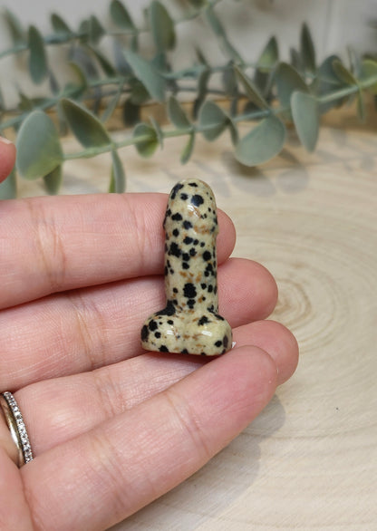 Pénis en Jaspe Dalmatien