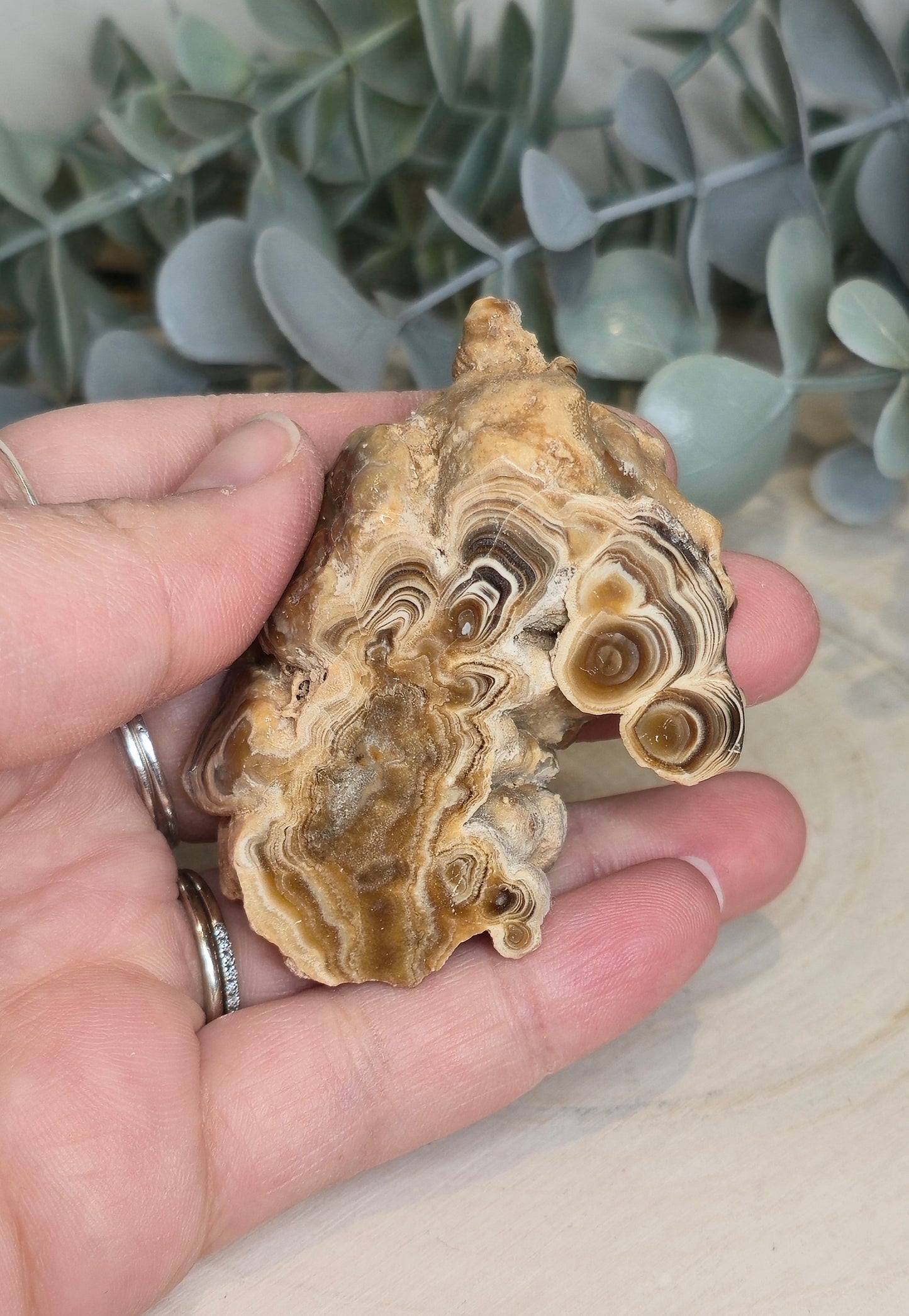 Tranche de Stalactite Aragonite