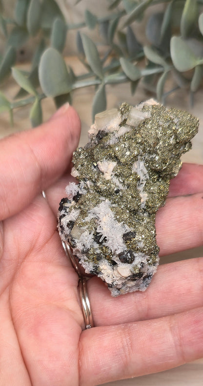 Pyrite dans Quartz brute