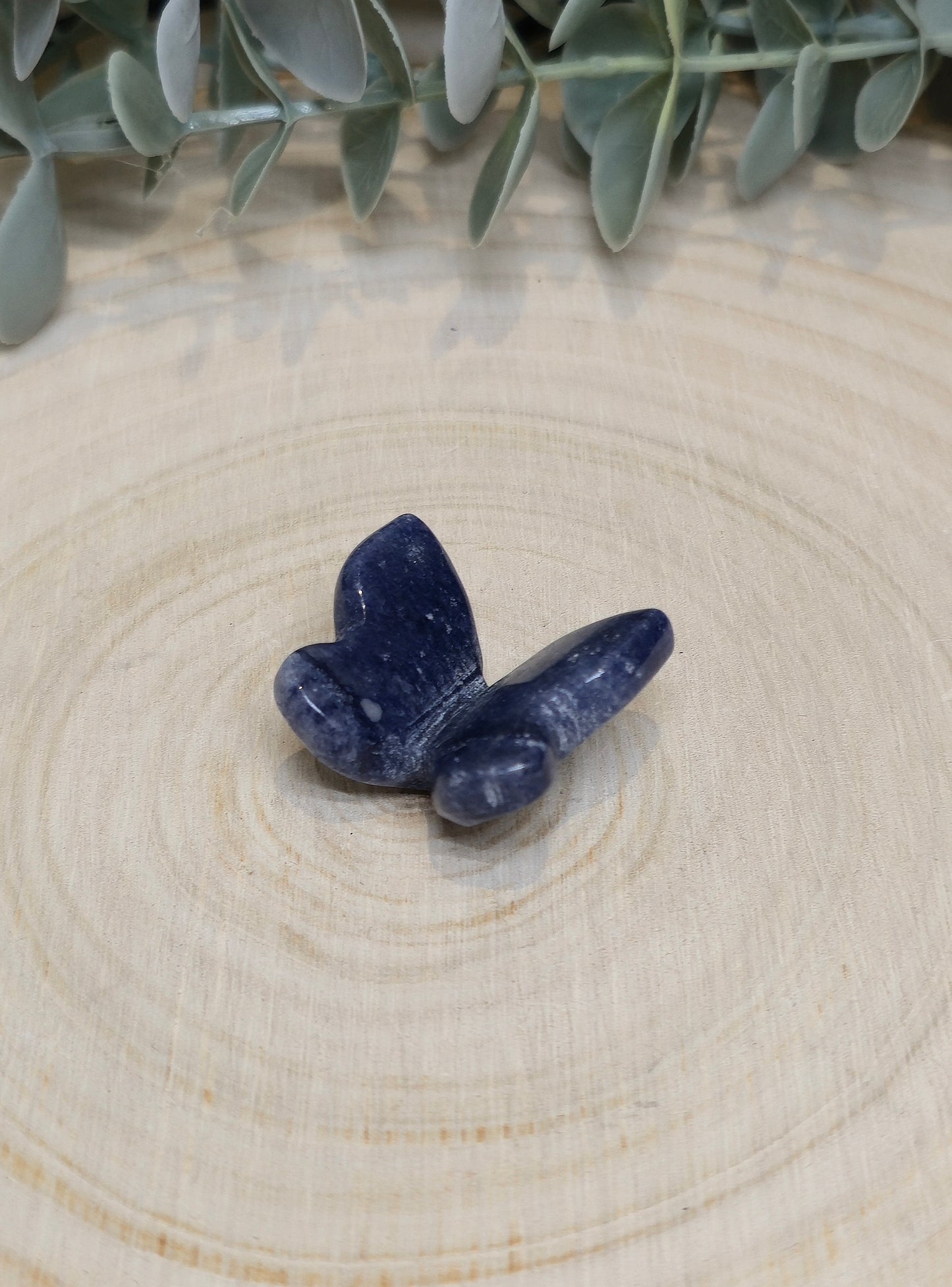 Papillon Aventurine bleue