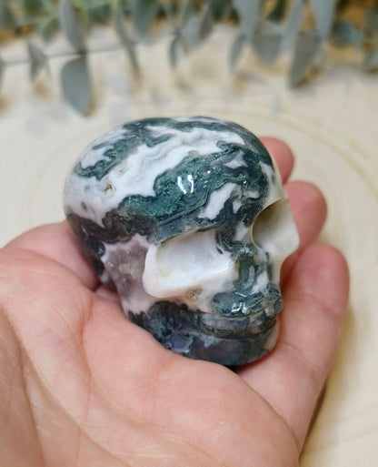 Crâne Agate mousse