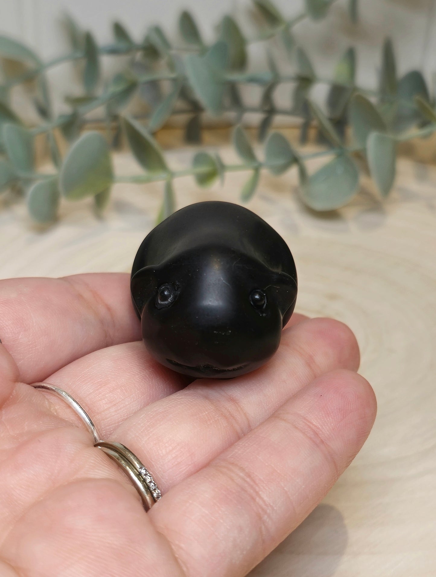 Hamster Obsidienne