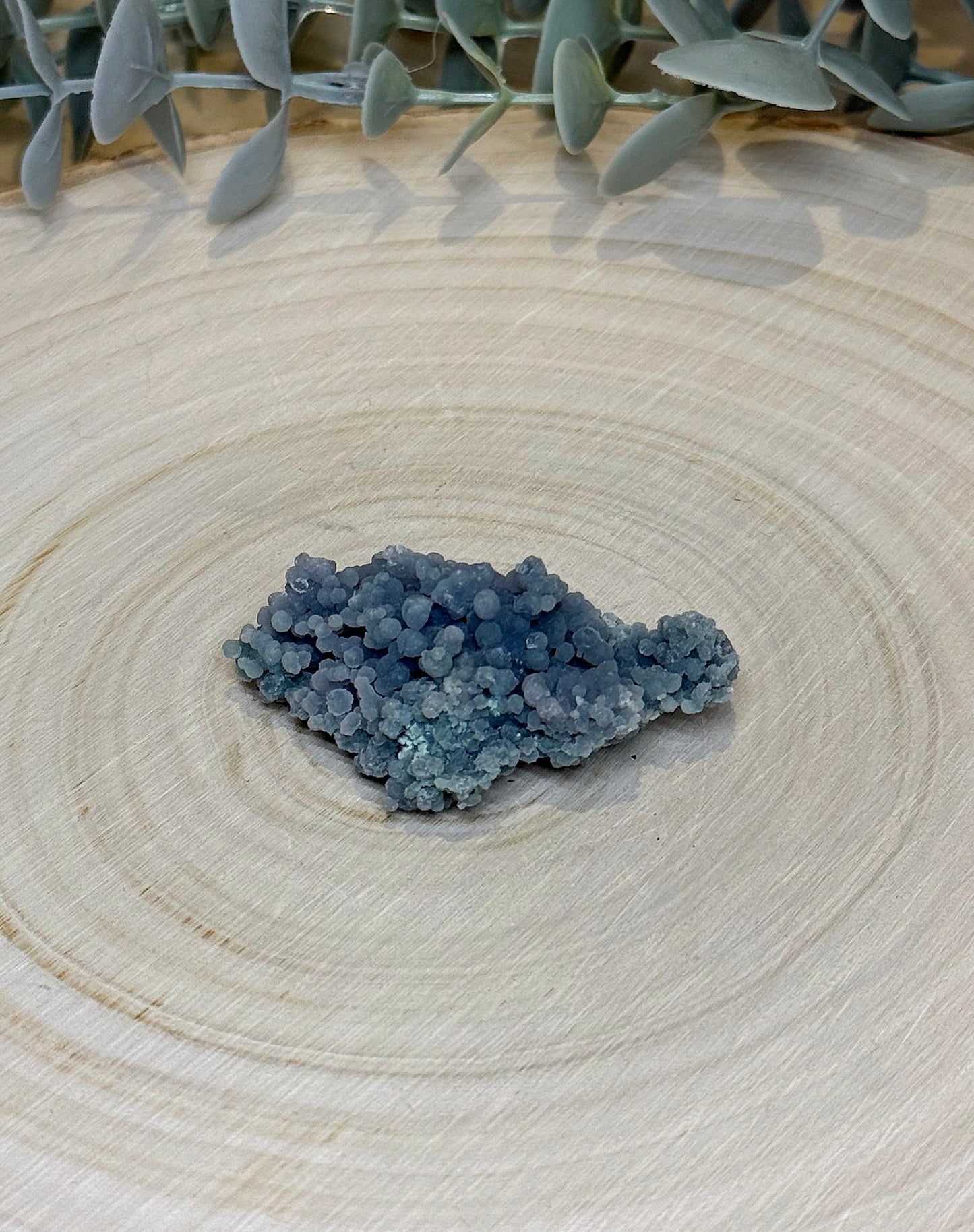 Agate raisin brute