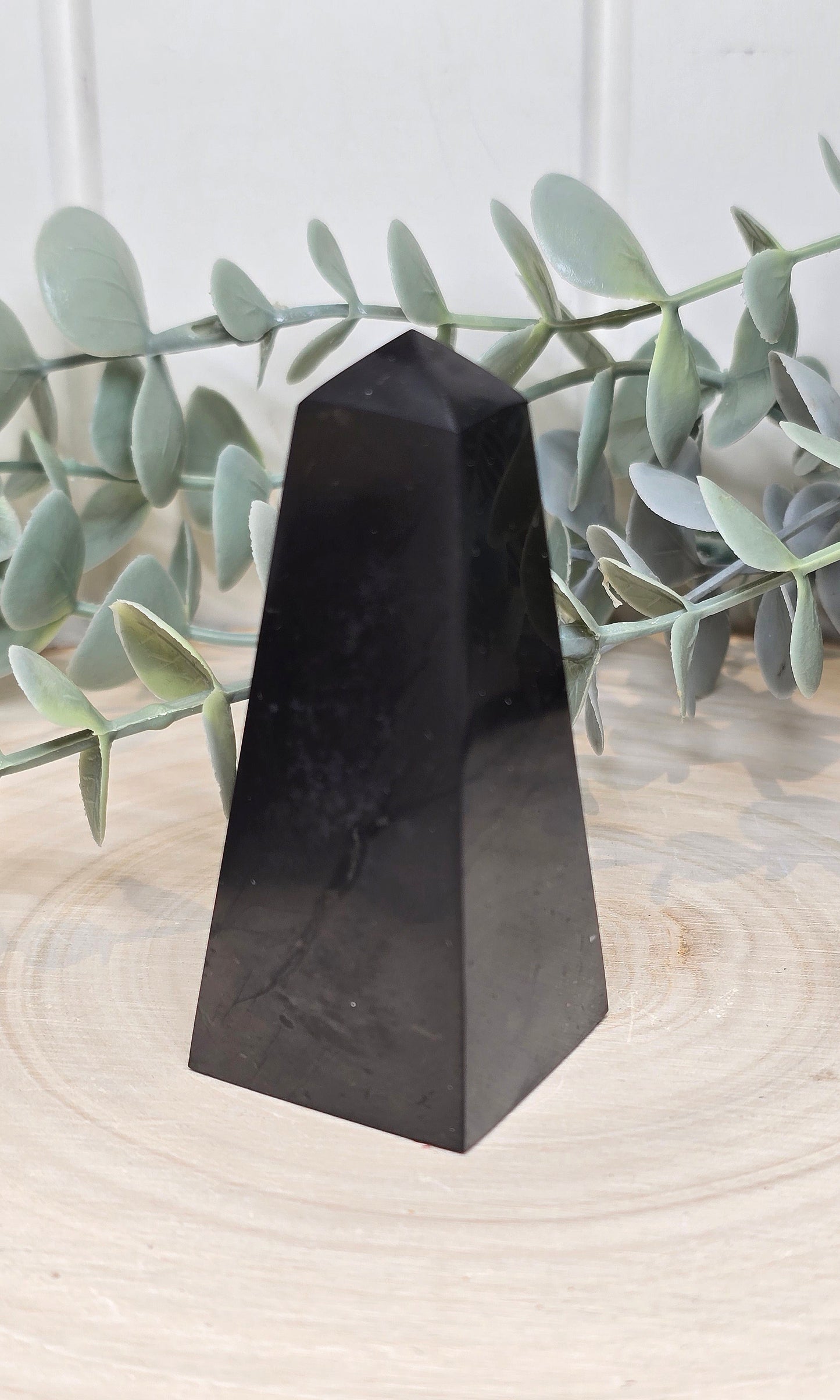 Pointe en Shungite