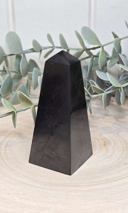 Pointe en Shungite