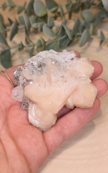 Apophyllite/Stilbite brute d'Inde