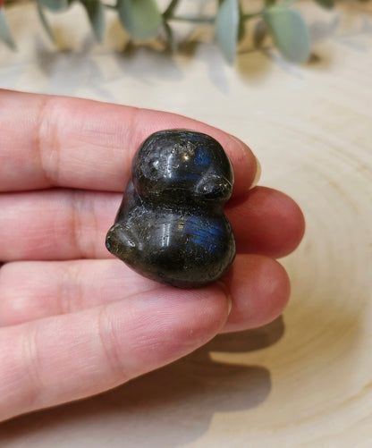 Canard Labradorite