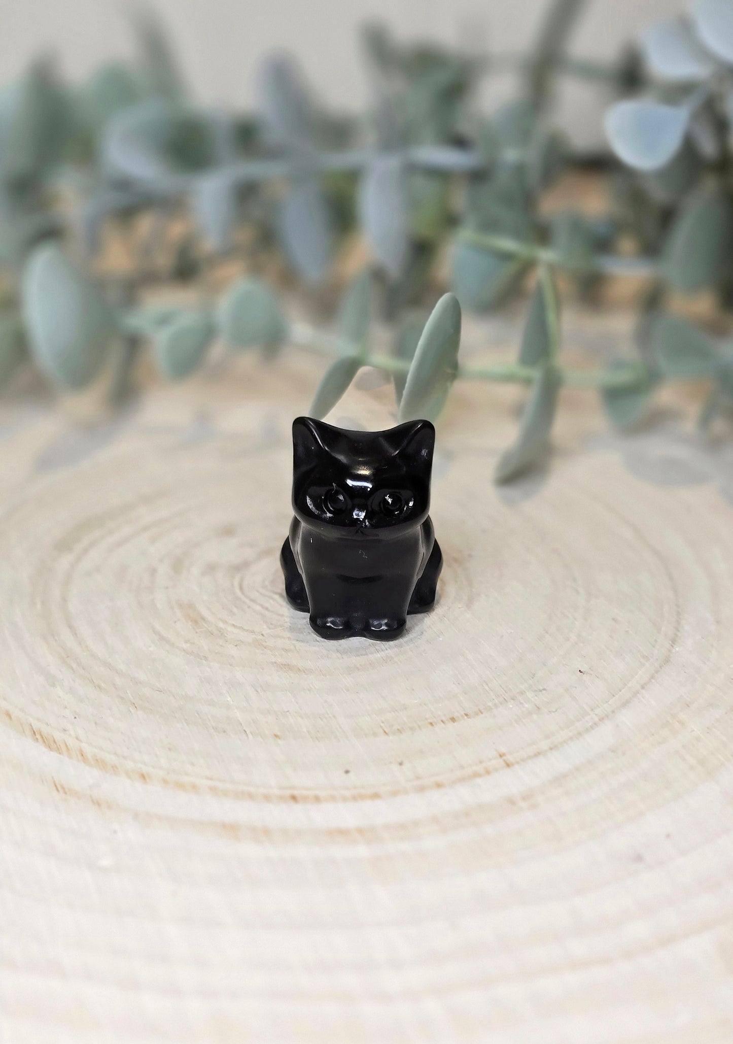 Chat en Obsidienne