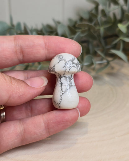 Champignon Howlite