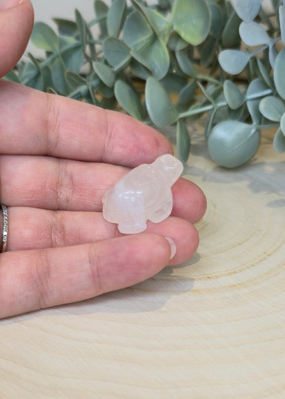 Tortue en Quartz clair