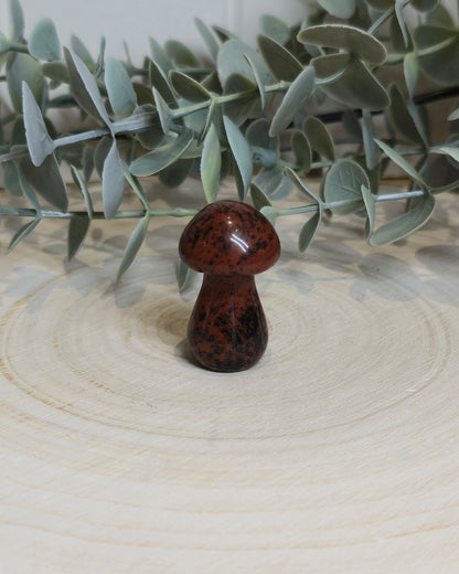 Champignon Obsidienne Acajou