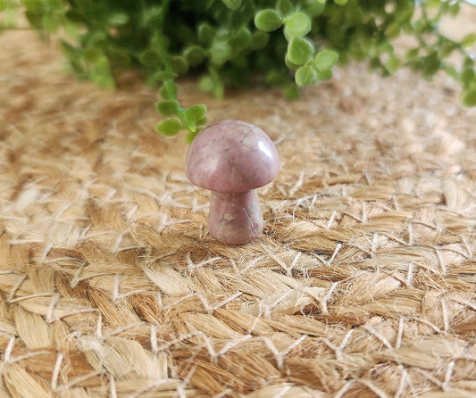 Champignon en Rhodonite